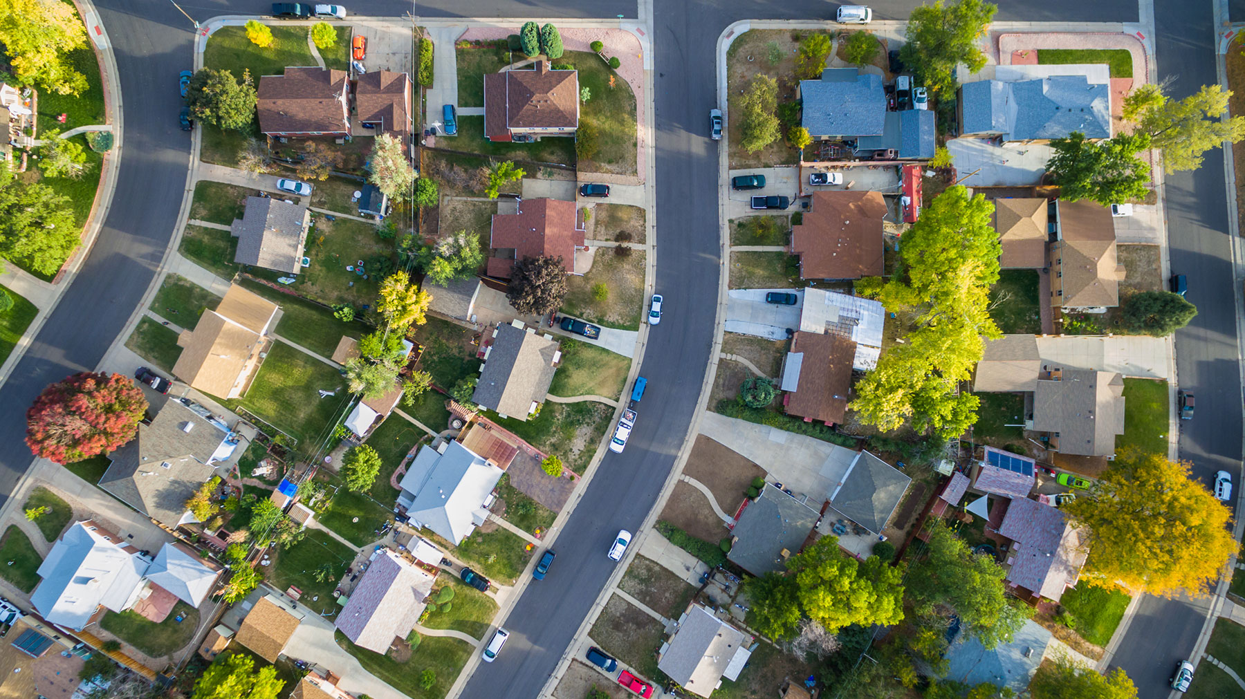 Bluebonnet Condominium cover